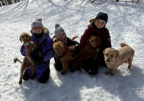 La famille de l'élevage